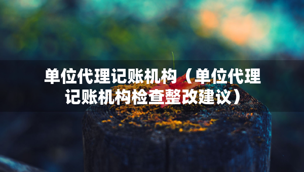 單位代理記賬機構（單位代理記賬機構檢查整改建議）
