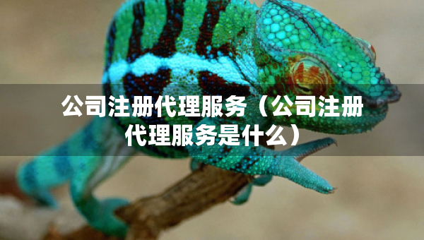 公司注冊代理服務(wù)（公司注冊代理服務(wù)是什么）