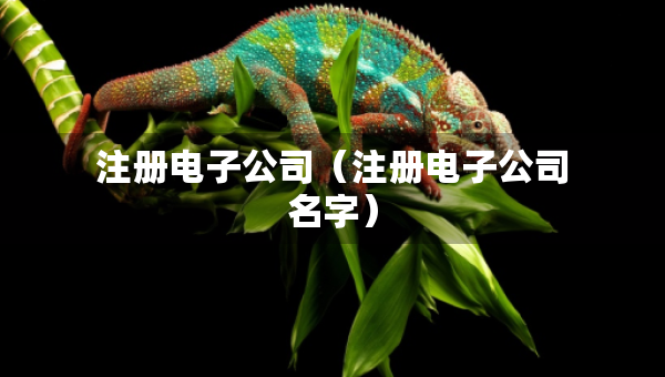 注冊電子公司（注冊電子公司名字）