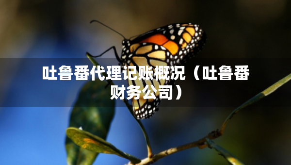 吐魯番代理記賬概況（吐魯番財務公司）