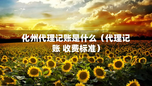化州代理記賬是什么（代理記賬 收費標準）