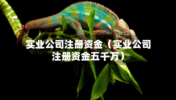 實業(yè)公司注冊資金（實業(yè)公司注冊資金五千萬）