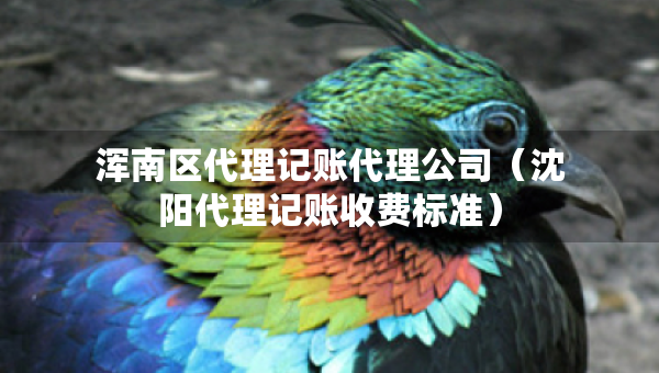 渾南區(qū)代理記賬代理公司（沈陽(yáng)代理記賬收費(fèi)標(biāo)準(zhǔn)）