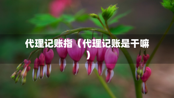 代理記賬指（代理記賬是干嘛）