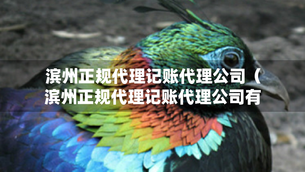 濱州正規(guī)代理記賬代理公司（濱州正規(guī)代理記賬代理公司有哪些）