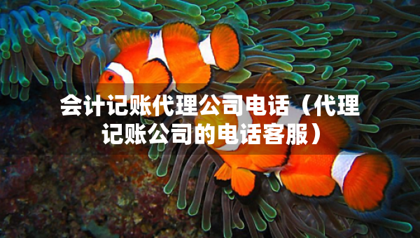 會計記賬代理公司電話（代理記賬公司的電話客服）