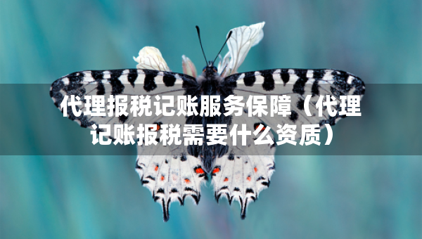 代理報(bào)稅記賬服務(wù)保障（代理記賬報(bào)稅需要什么資質(zhì)）