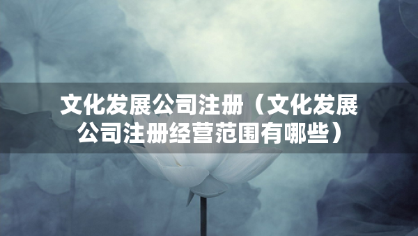 文化發(fā)展公司注冊(cè)（文化發(fā)展公司注冊(cè)經(jīng)營(yíng)范圍有哪些）