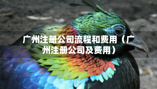廣州注冊(cè)公司流程和費(fèi)用（廣州注冊(cè)公司及費(fèi)用）