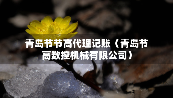 青島節(jié)節(jié)高代理記賬（青島節(jié)高數(shù)控機(jī)械有限公司）