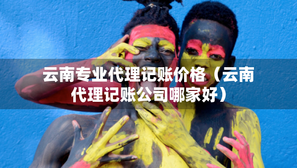 云南專業(yè)代理記賬價(jià)格（云南代理記賬公司哪家好）