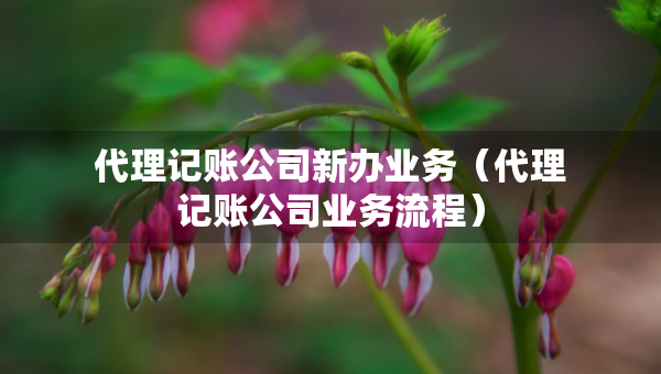 代理記賬公司新辦業(yè)務(wù)（代理記賬公司業(yè)務(wù)流程）