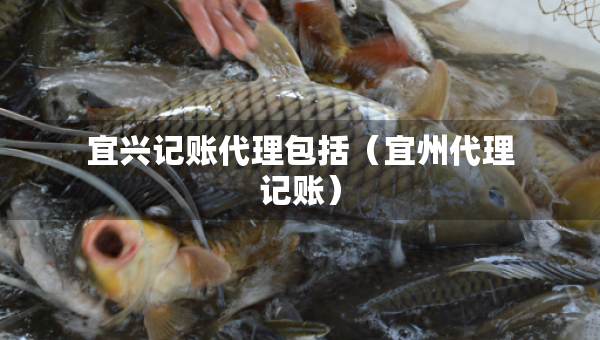 宜興記賬代理包括（宜州代理記賬）