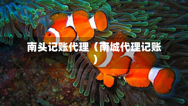 南頭記賬代理（南城代理記賬）