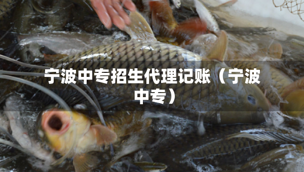 寧波中專招生代理記賬（寧波 中專）