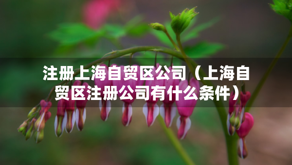 注冊上海自貿(mào)區(qū)公司（上海自貿(mào)區(qū)注冊公司有什么條件）
