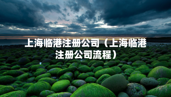 上海臨港注冊公司（上海臨港注冊公司流程）