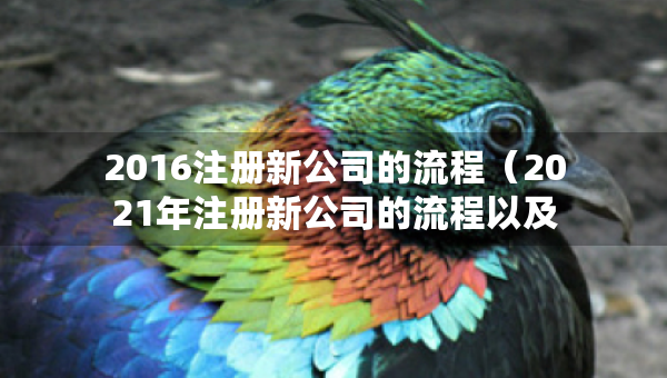 2016注冊新公司的流程（2021年注冊新公司的流程以及所需要的資料）