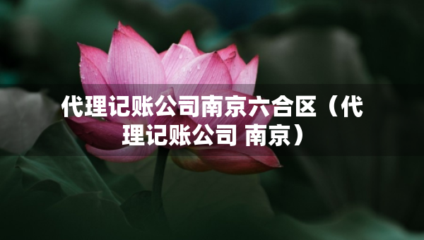 代理記賬公司南京六合區(qū)（代理記賬公司 南京）