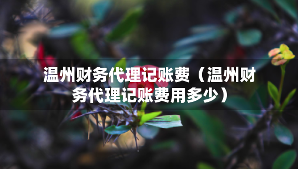 溫州財(cái)務(wù)代理記賬費(fèi)（溫州財(cái)務(wù)代理記賬費(fèi)用多少）