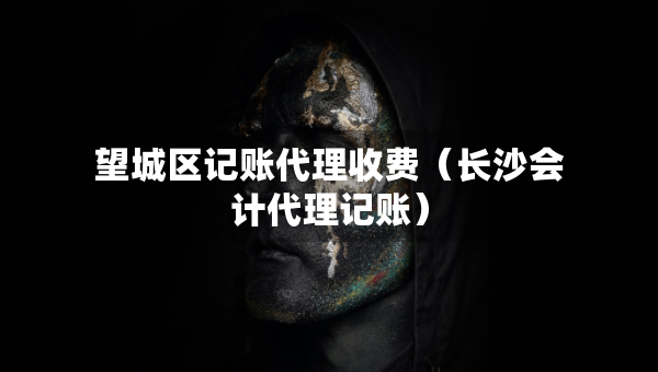 望城區(qū)記賬代理收費（長沙會計代理記賬）