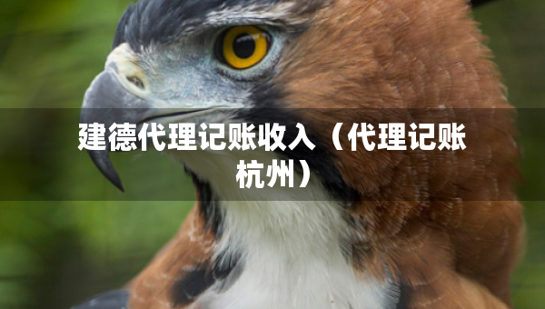建德代理記賬收入（代理記賬杭州）