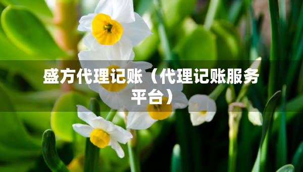 盛方代理記賬（代理記賬服務(wù)平臺(tái)）