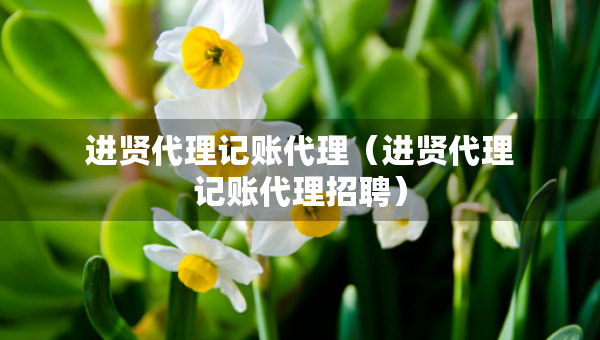 進(jìn)賢代理記賬代理（進(jìn)賢代理記賬代理招聘）