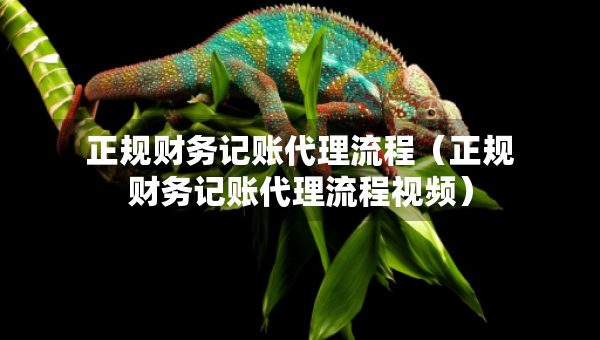 正規(guī)財(cái)務(wù)記賬代理流程（正規(guī)財(cái)務(wù)記賬代理流程視頻）