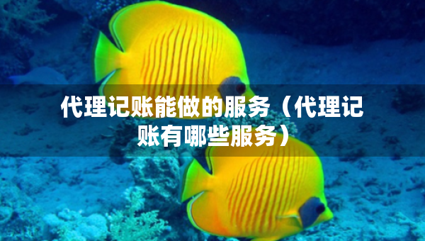 代理記賬能做的服務(wù)（代理記賬有哪些服務(wù)）