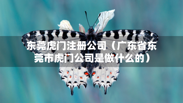 東莞虎門注冊公司（廣東省東莞市虎門公司是做什么的）