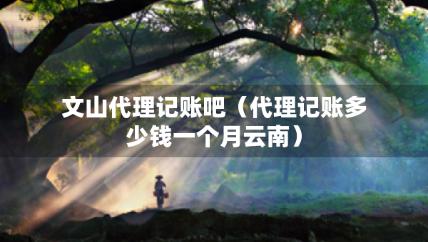文山代理記賬吧（代理記賬多少錢一個(gè)月云南）
