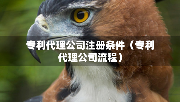 專利代理公司注冊條件（專利代理公司流程）