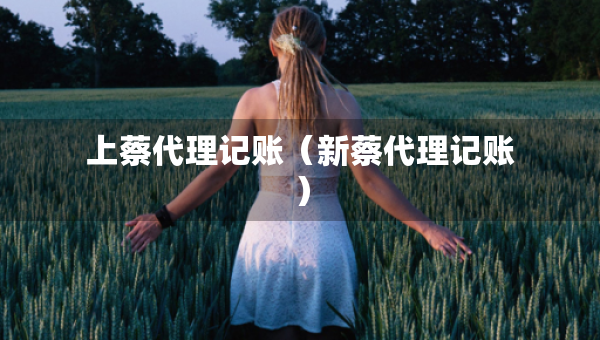 上蔡代理記賬（新蔡代理記賬）