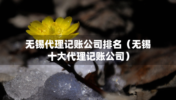 無錫代理記賬公司排名（無錫十大代理記賬公司）