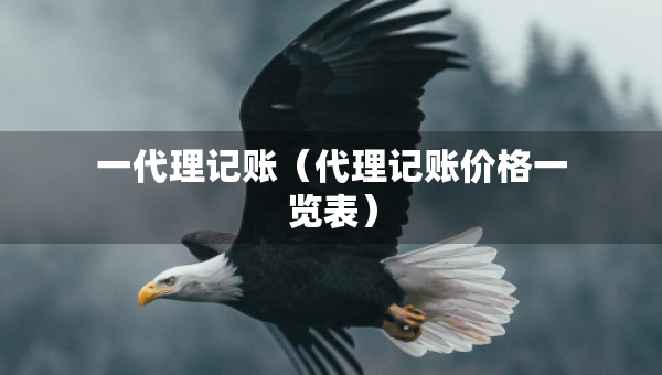 一代理記賬（代理記賬價(jià)格一覽表）