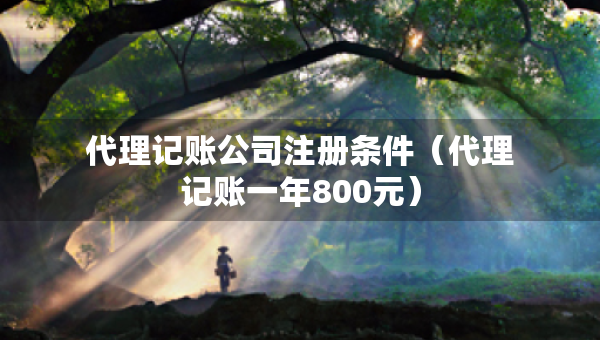 代理記賬公司注冊(cè)條件（代理記賬一年800元）