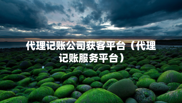 代理記賬公司獲客平臺（代理記賬服務(wù)平臺）
