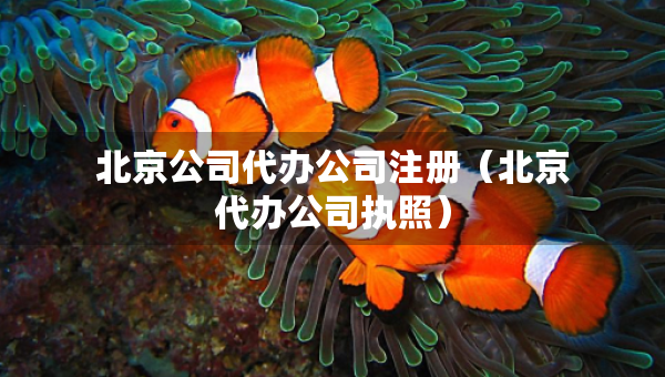 北京公司代辦公司注冊（北京代辦公司執(zhí)照）