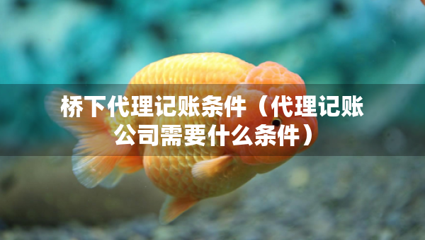 橋下代理記賬條件（代理記賬公司需要什么條件）