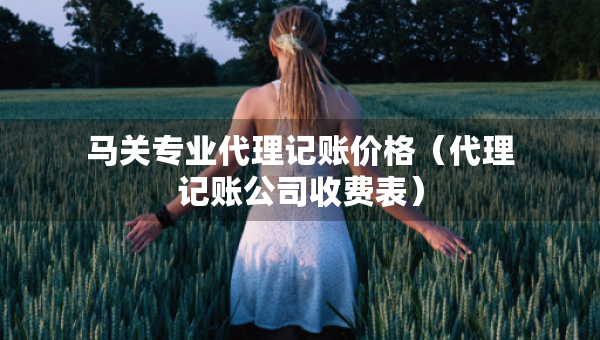 馬關(guān)專業(yè)代理記賬價格（代理記賬公司收費表）