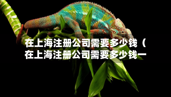 在上海注冊公司需要多少錢（在上海注冊公司需要多少錢一個月）