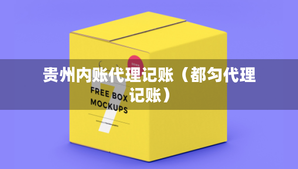 貴州內(nèi)賬代理記賬（都勻代理記賬）