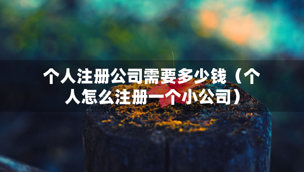 個(gè)人注冊(cè)公司需要多少錢（個(gè)人怎么注冊(cè)一個(gè)小公司）