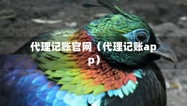 代理記賬官網(wǎng)（代理記賬app）
