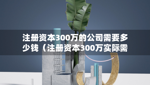 注冊資本300萬的公司需要多少錢（注冊資本300萬實際需要出資多少）