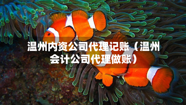 溫州內(nèi)資公司代理記賬（溫州會計公司代理做賬）