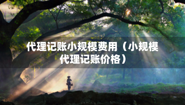 代理記賬小規(guī)模費用（小規(guī)模代理記賬價格）