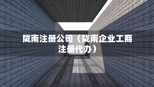 隴南注冊公司（隴南企業(yè)工商注冊代辦）