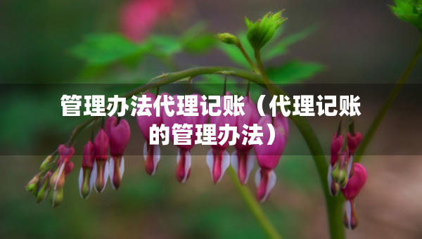 管理辦法代理記賬（代理記賬的管理辦法）